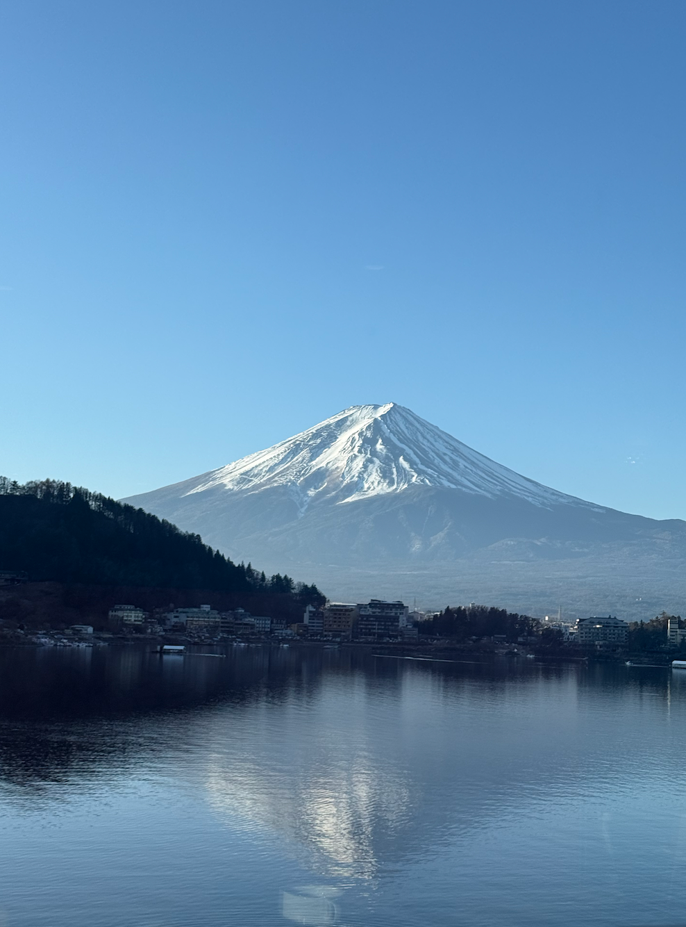 2026.02 被雀躍滋養