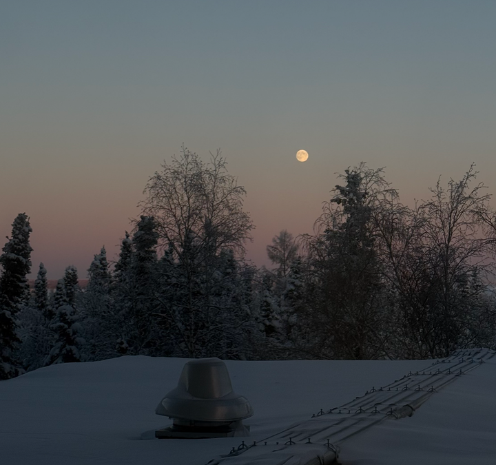 2026.01 感官邊界