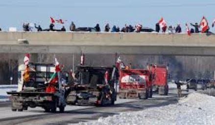 We Live in a Paradise