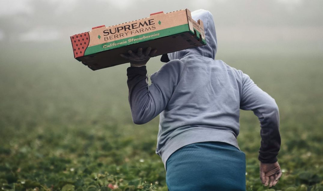 The New Immigration System Will Harm Regional Areas