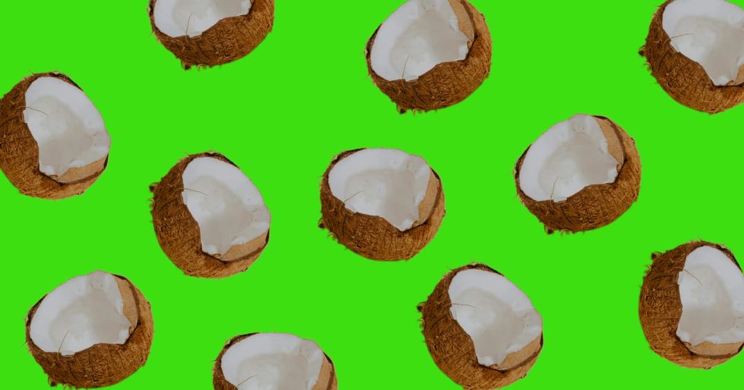 Coconuts on a brat green background