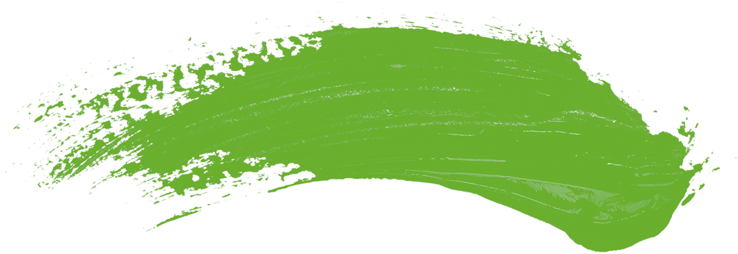 Manifesto Breakdown: The Green Party