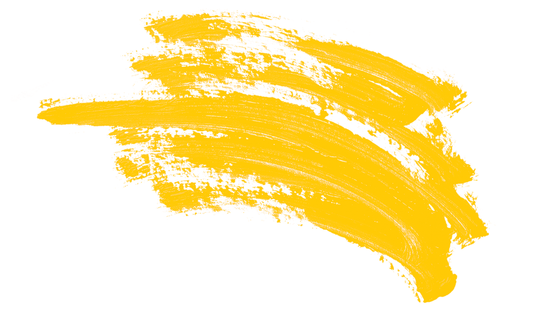 Manifesto Breakdown: Liberal Democrats