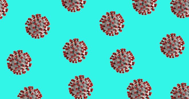 Image of: The Coronavirus Breakdown: Education