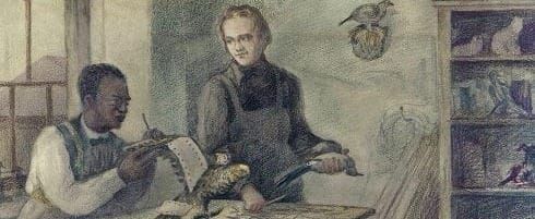 Image of: People We Weren’t Taught About: John Edmonstone
