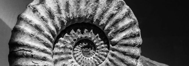 Image of: Should Britain Return Its Stolen Artefacts?