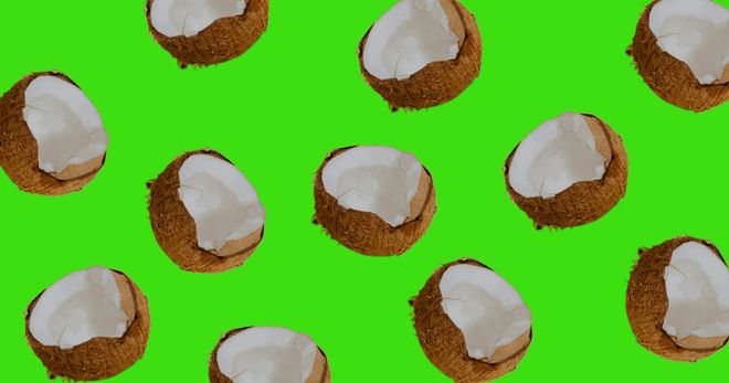 Image of: Will Kamala’s Meme-ification Get Young People Out To Vote? Don’t Count On It.