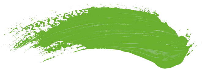 Image of: Manifesto Breakdown: The Green Party