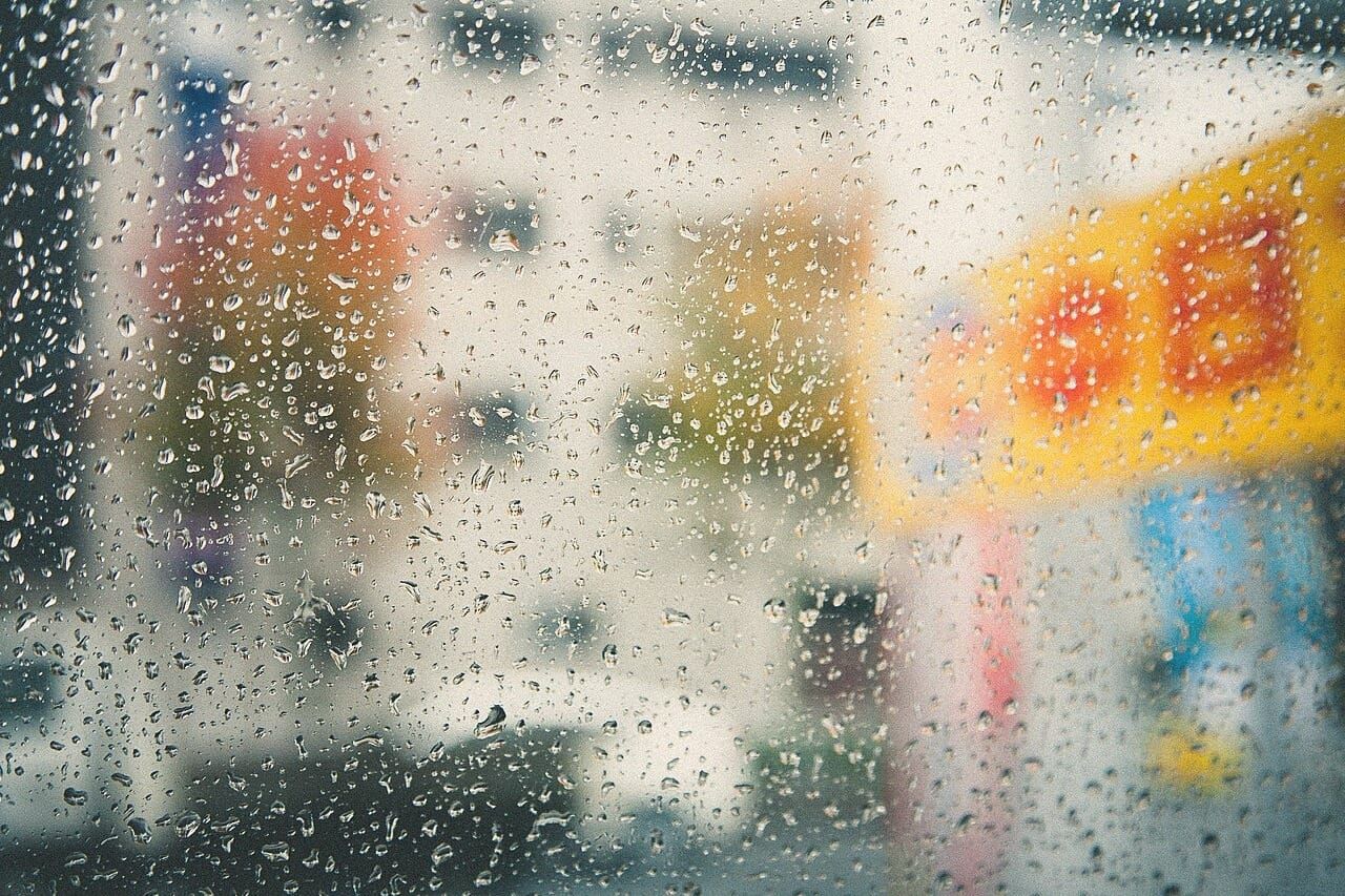 Emotion