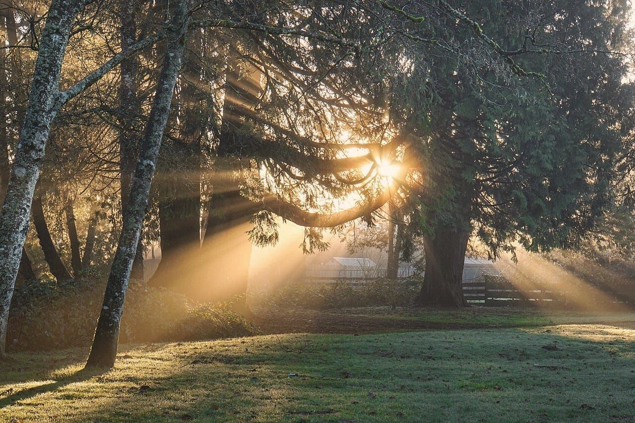 Numinous