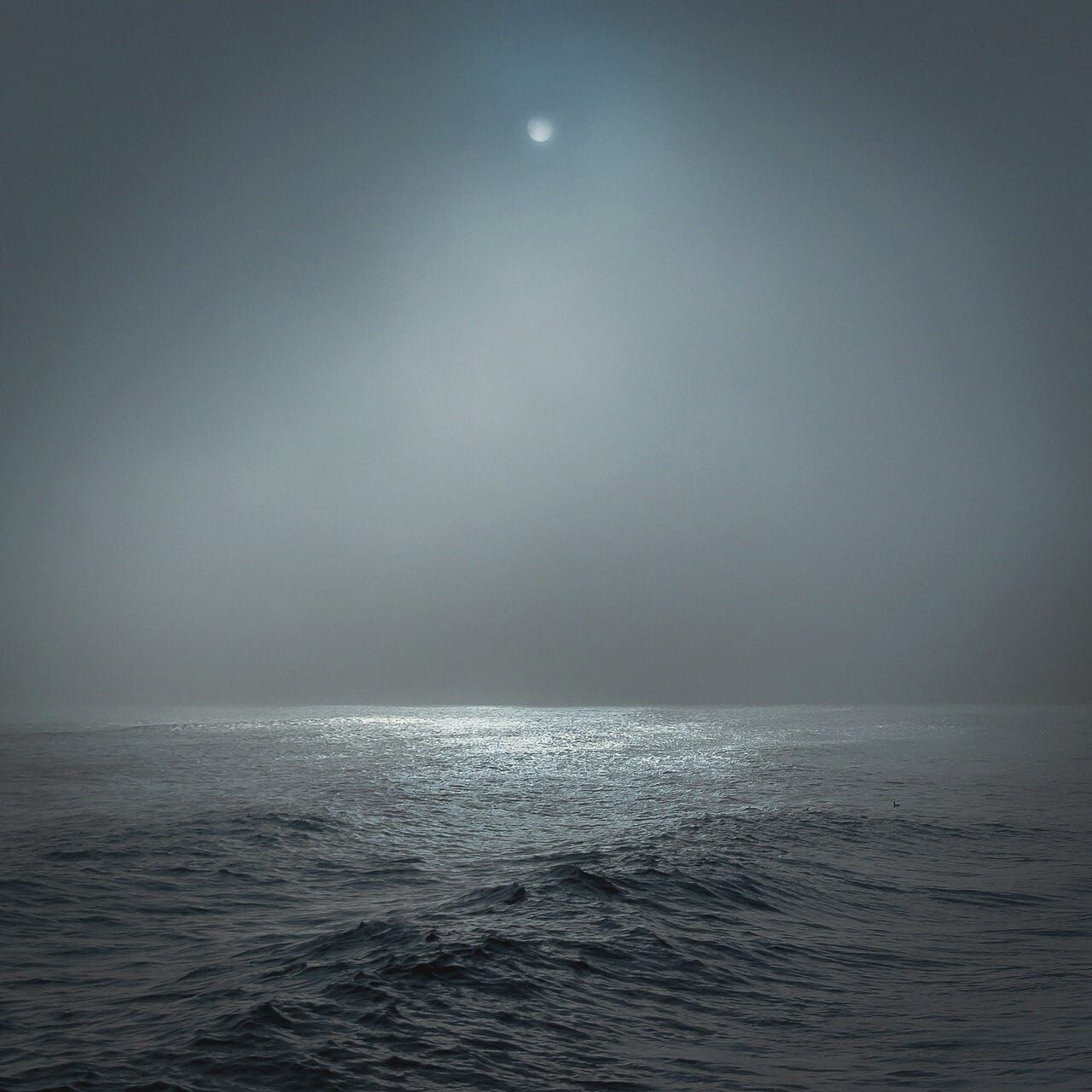 Night sea journey