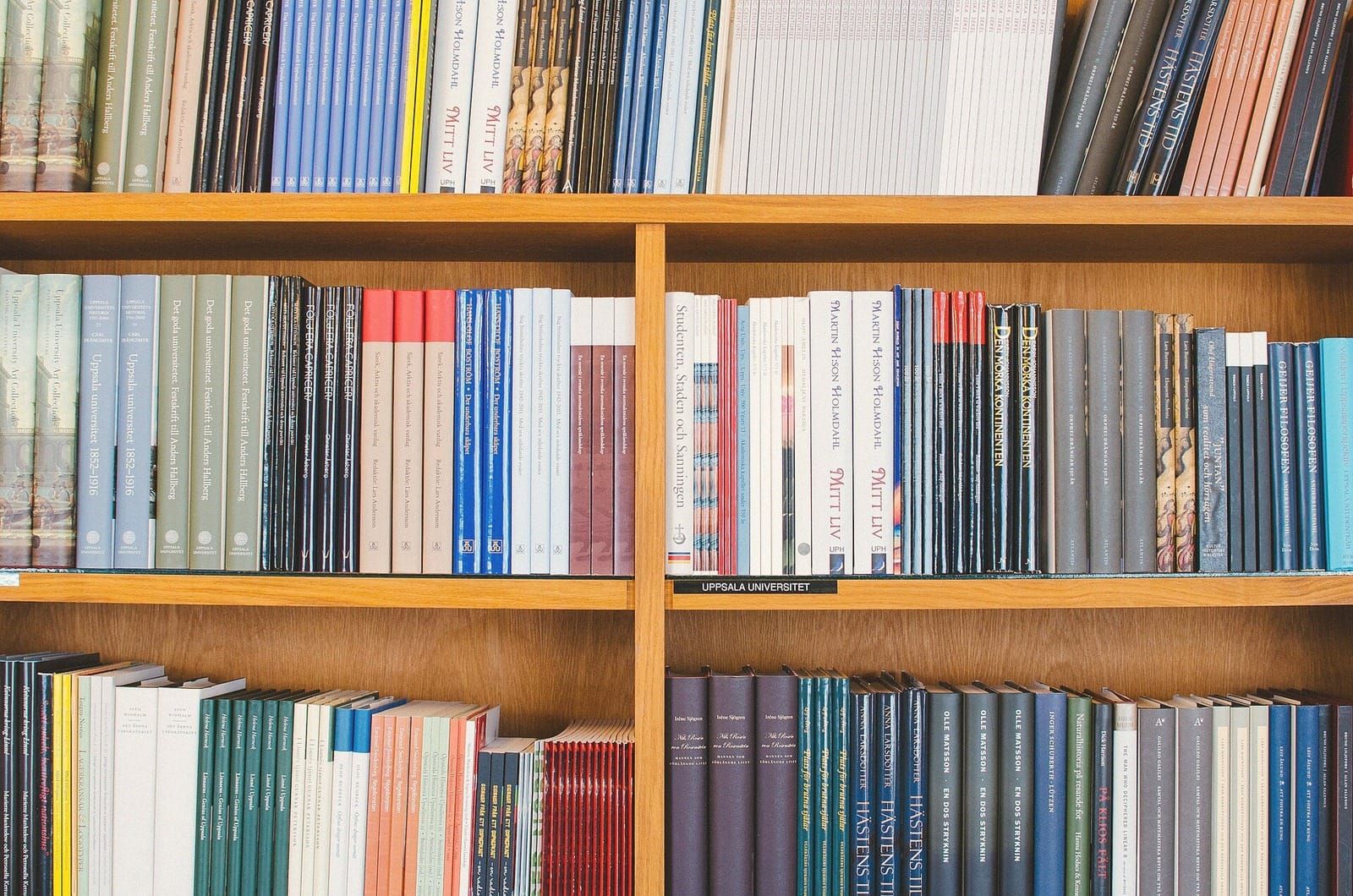 Intelectual Inheritance vs Systematic Ontology