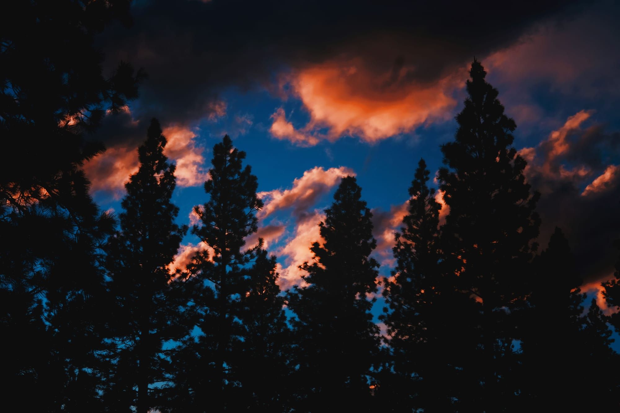 Is AI Fire from the Gods or an Unsinkable Ship?