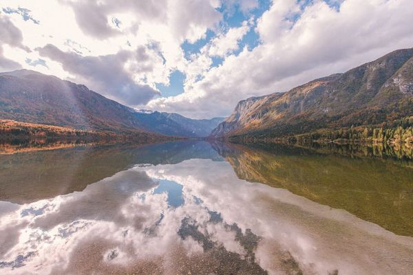 Reflection