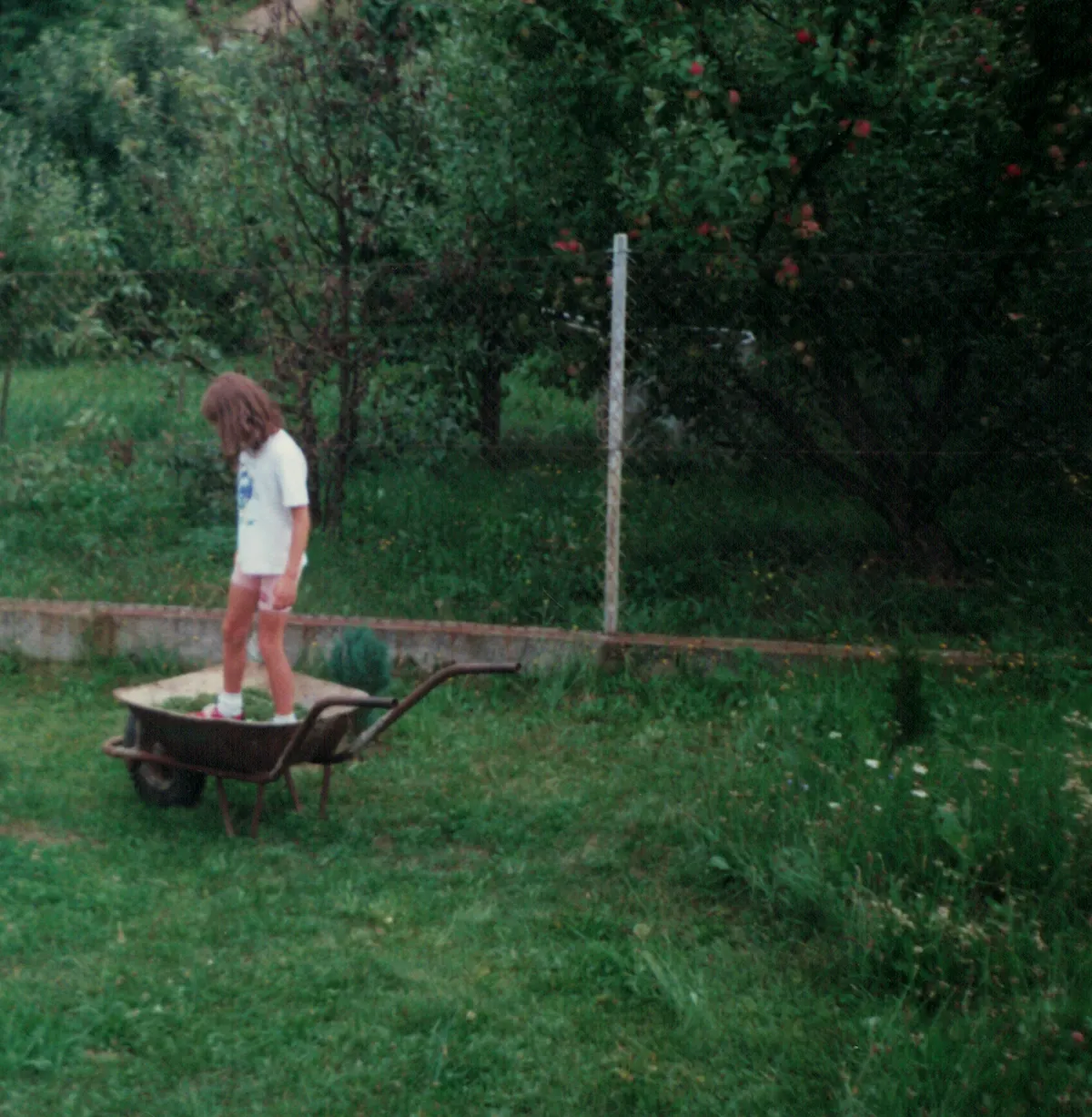 Digital Gardens of the Internet