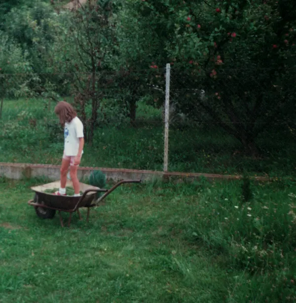 Digital Gardens of the Internet