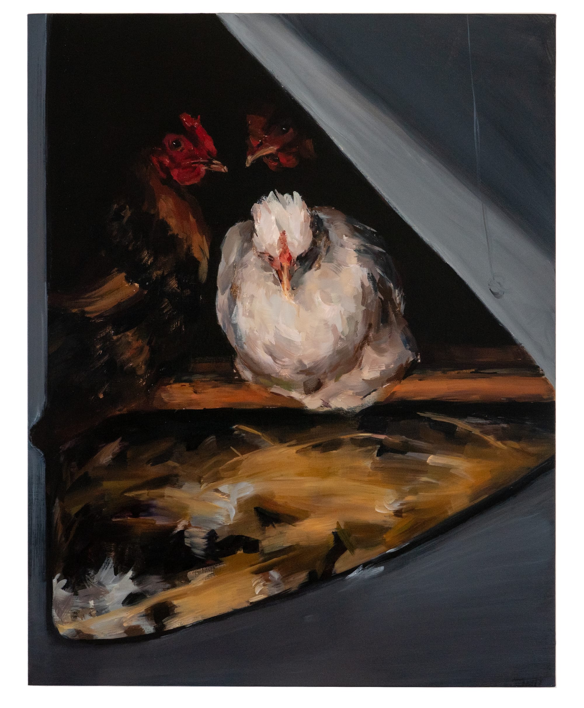 an oil painting of three hens inside a chicken coop, with one white hen in the centre, and two brown hens showing their heads.