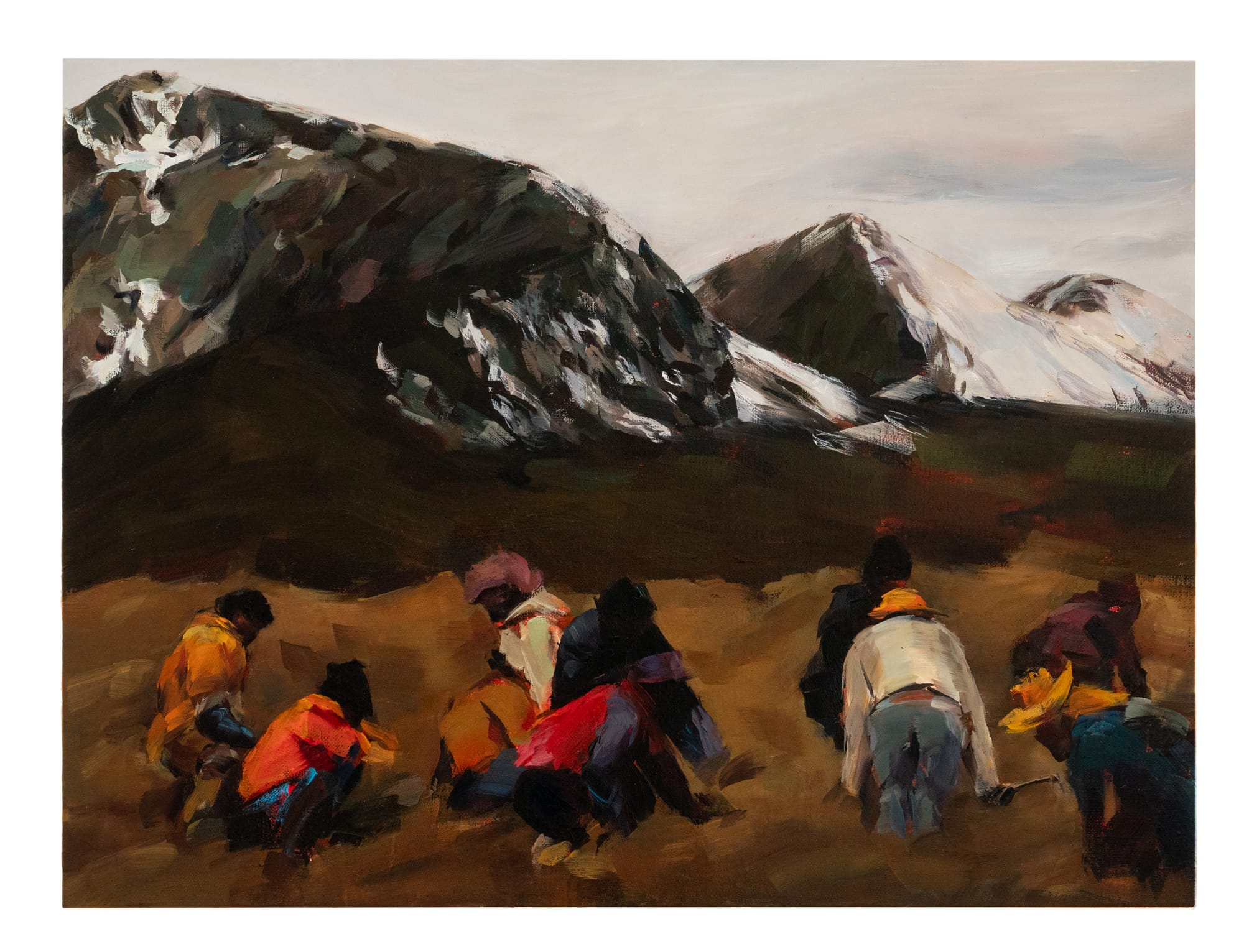 an oil painting of a group of people wearing colourful clothing, harvesting caterpillar fungus at the foot of mountains