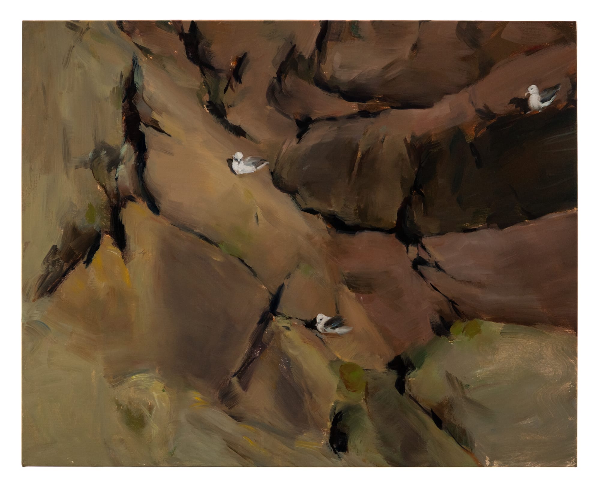 an oil painting of three fulmars at cliff's edge