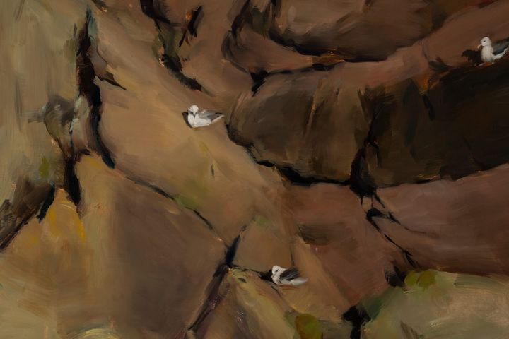 The Puffins Wear My Words