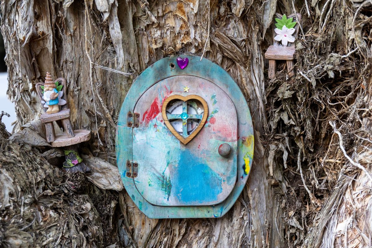 Curiosity Walk #1
