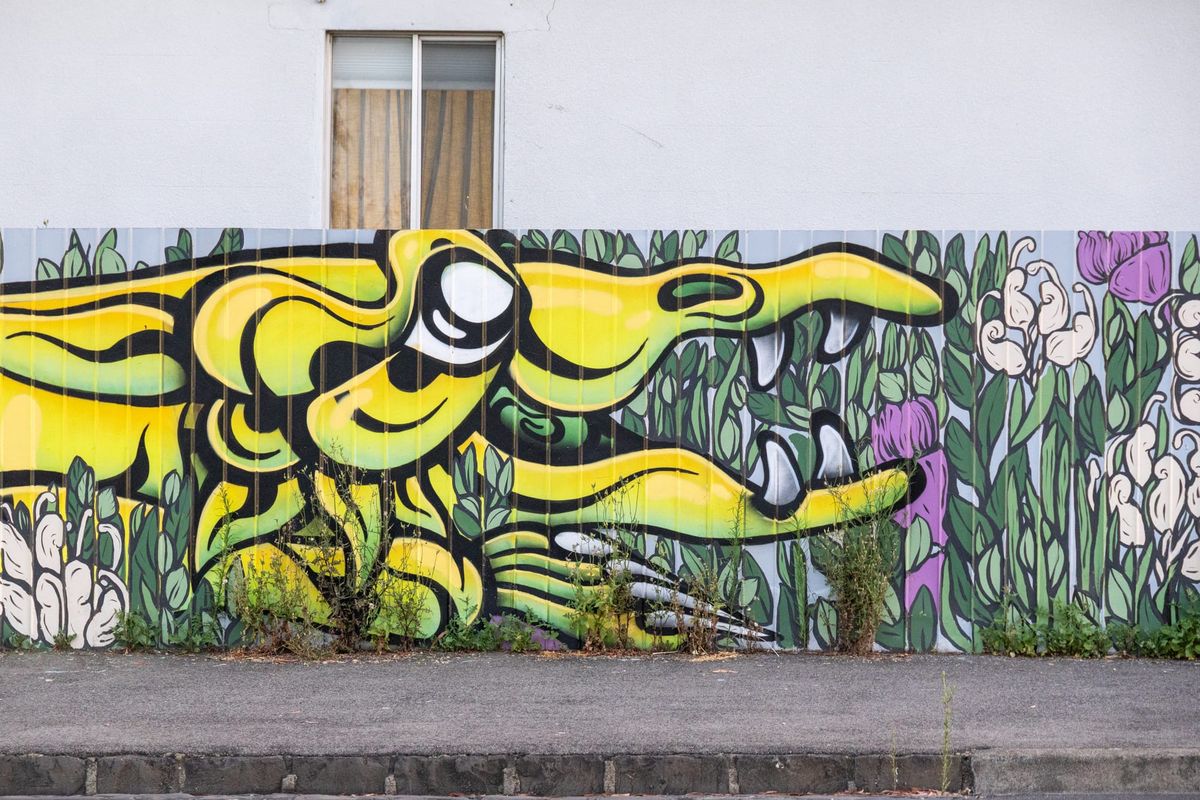 Curiosity Walk #4