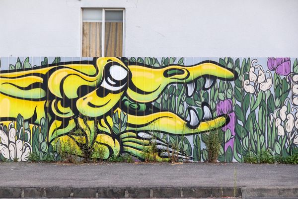 Curiosity Walk #4