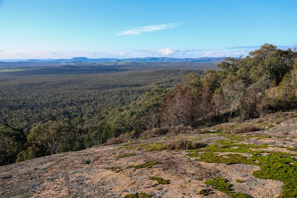 Mount Pilot