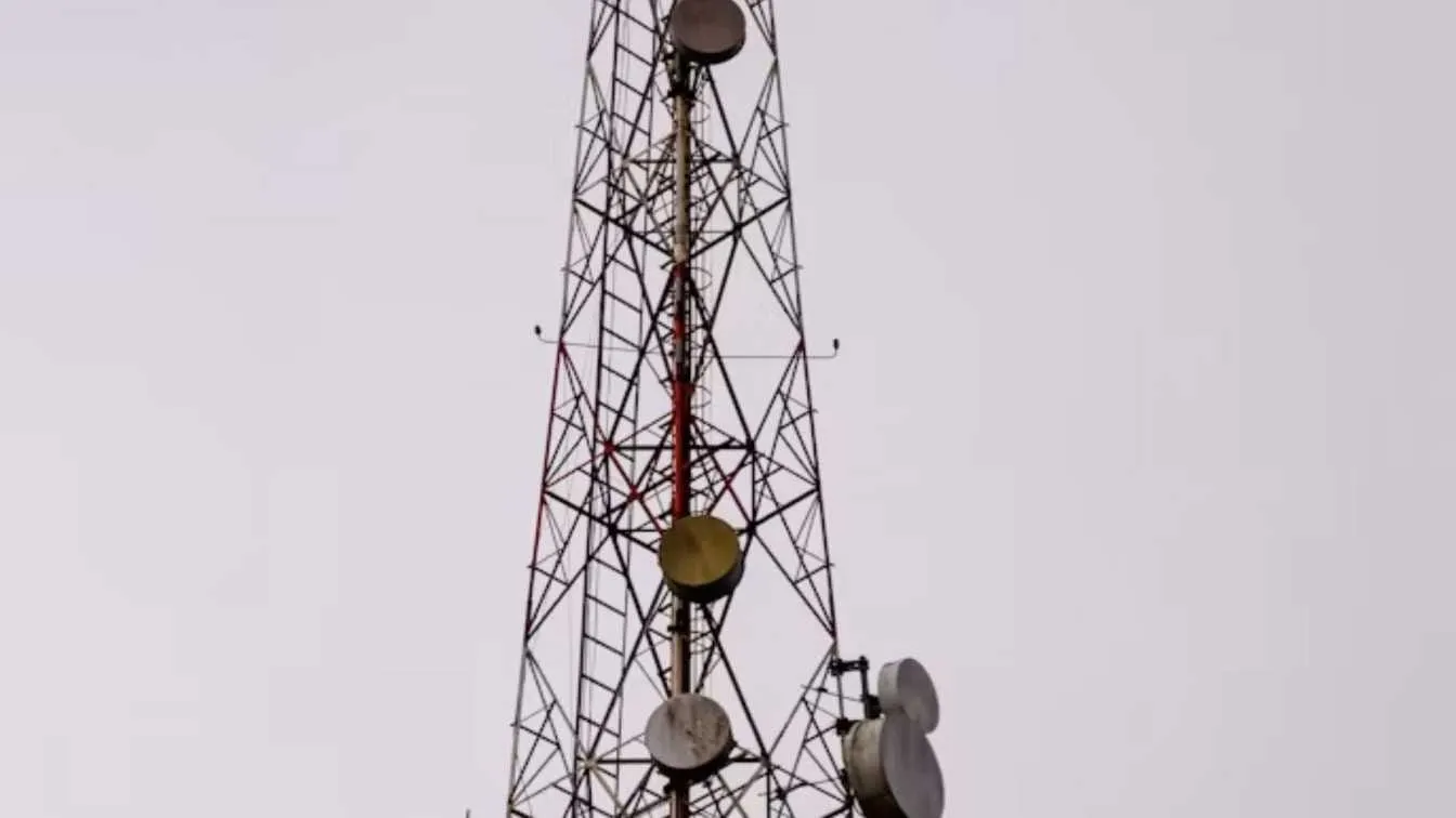 Why Cat 1 Bis Won Cellular IoT, And What It Costs