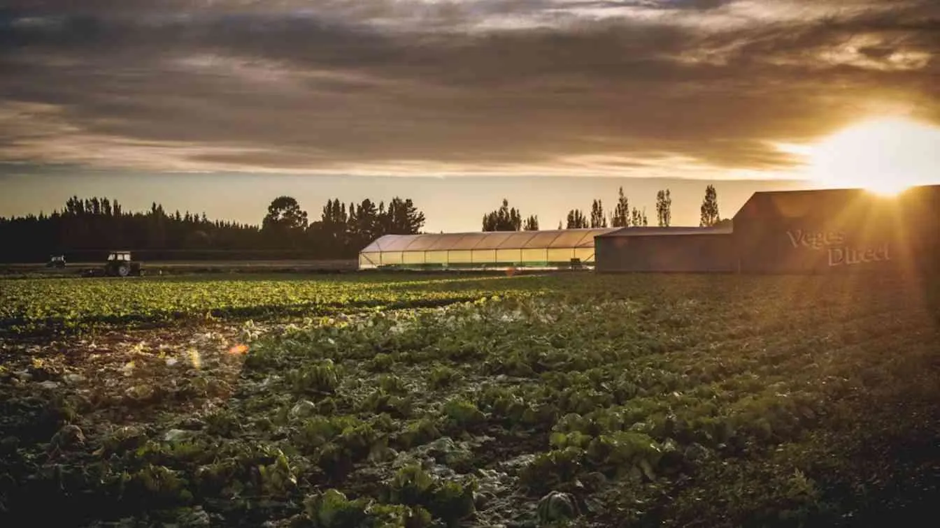 Austria's Pessl Puts Its Farm Weather Stations On 1NCE