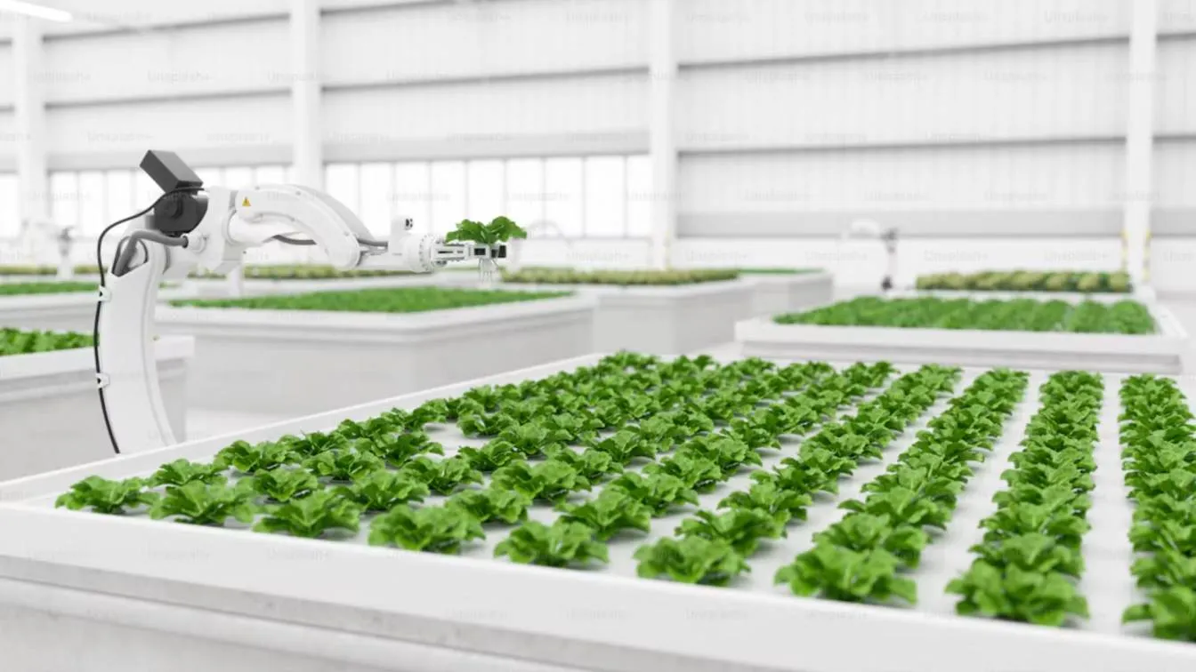 Berlin's Hexafarms Raises €4.8M For Greenhouse Robots