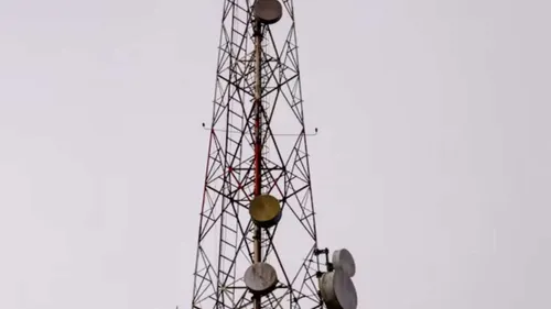 Why Cat 1 Bis Won Cellular IoT, And What It Costs