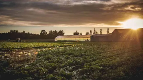 Austria's Pessl Puts Its Farm Weather Stations On 1NCE