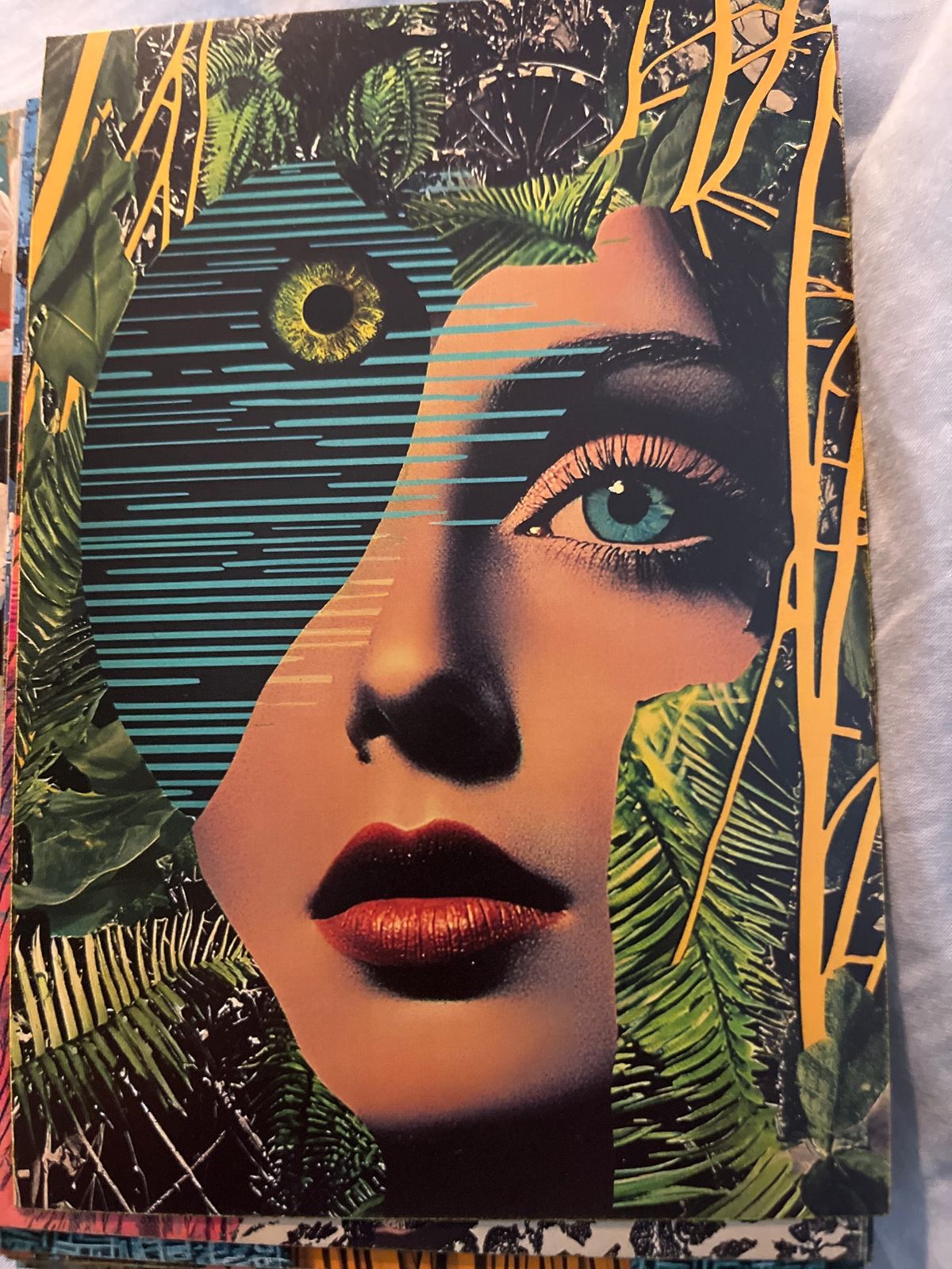 ⭐ FORFAIT 3 — SCAN Chaos : Intervention Terrain