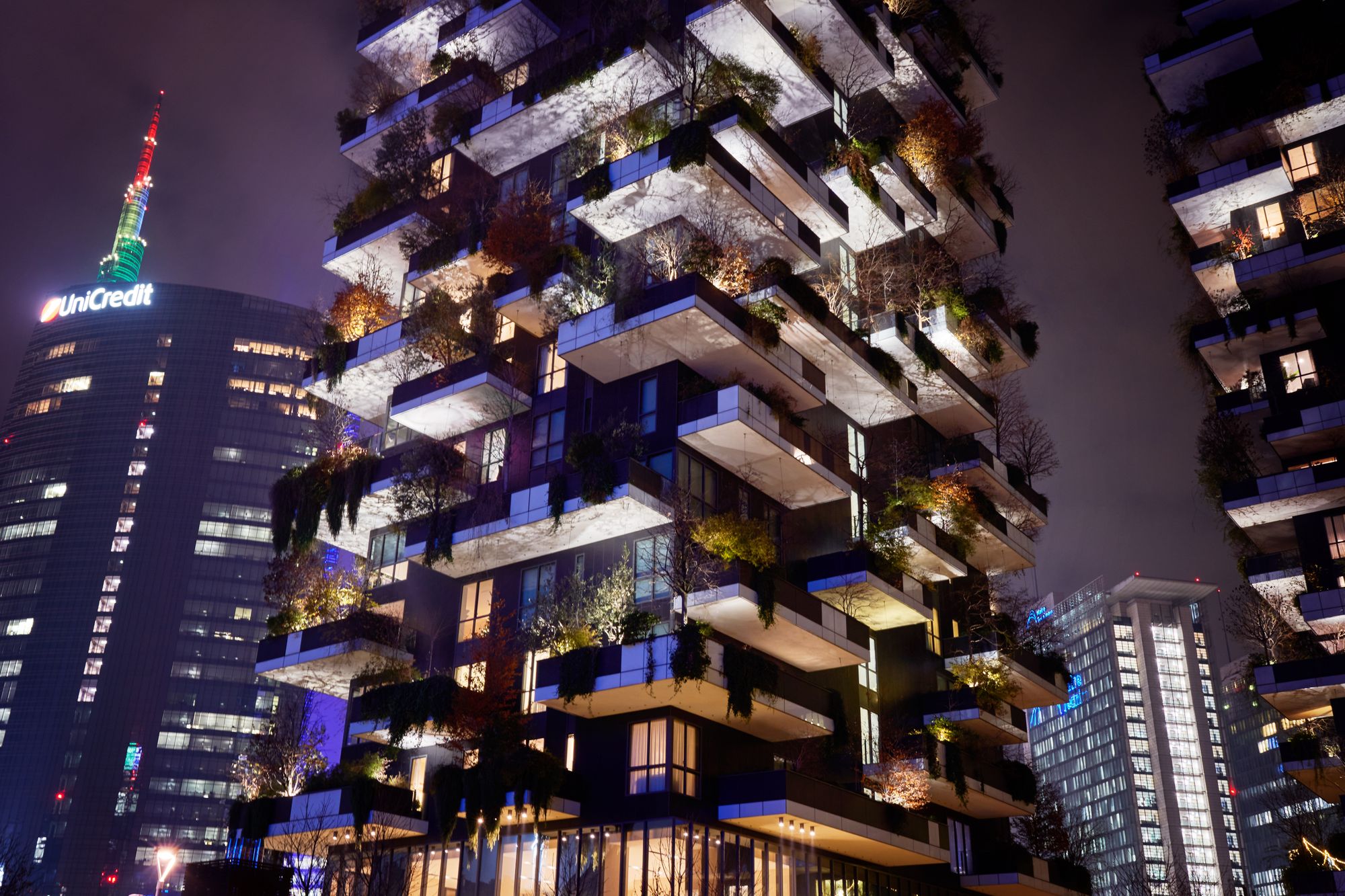 Night view of the Bosco Verticale's balconies 