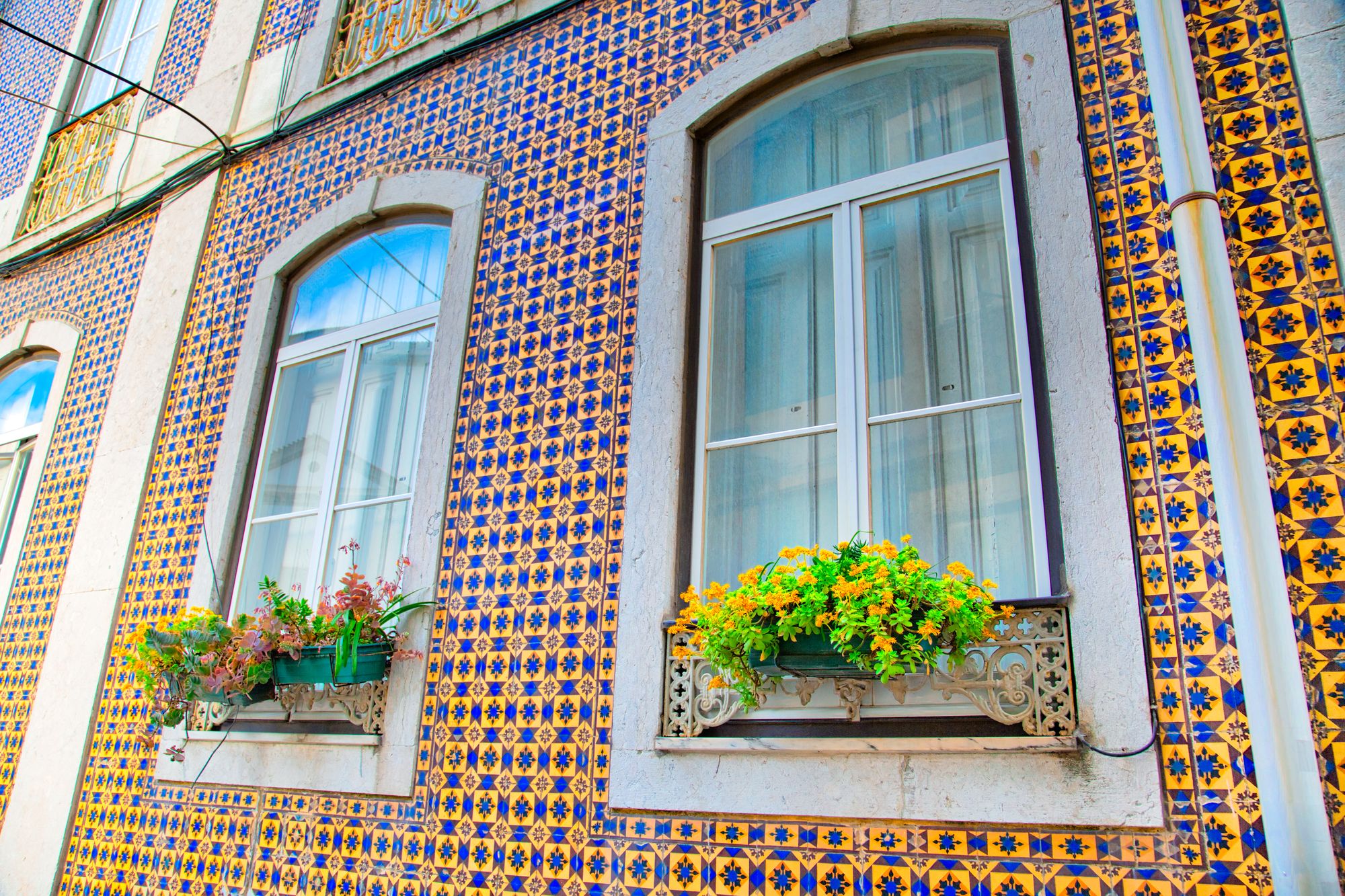 The traditional majolica tiles