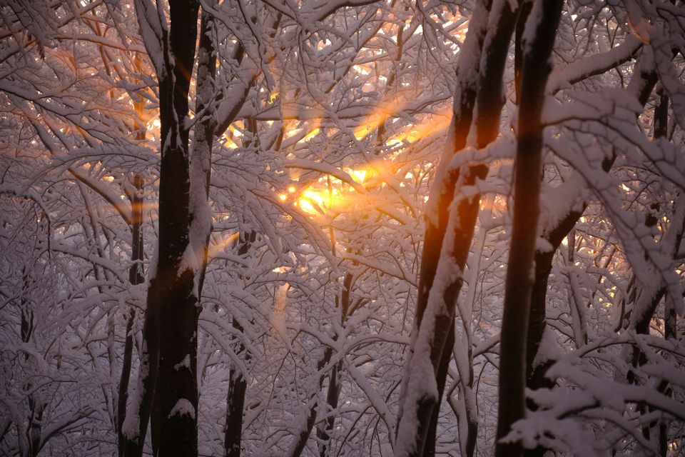 November: Shine Light