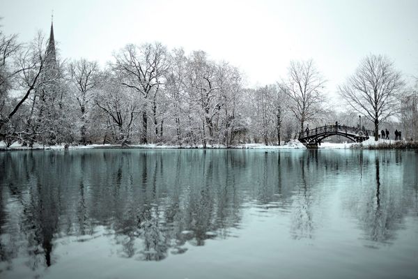 Teich in Leipzig im Winter