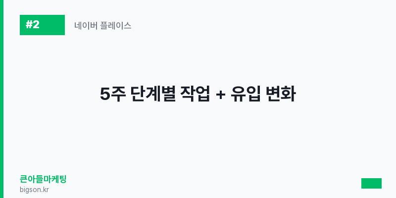 5주 단계별 작업 + 유입 변화