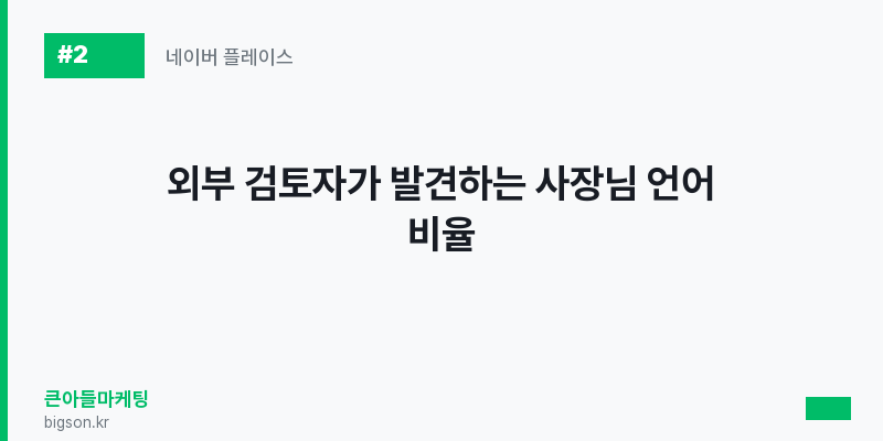 외부 검토자가 발견하는 사장님 언어 비율