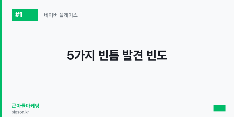 5가지 빈틈 발견 빈도