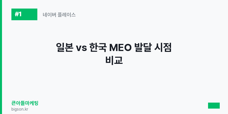 일본 vs 한국 MEO 발달 시점 비교