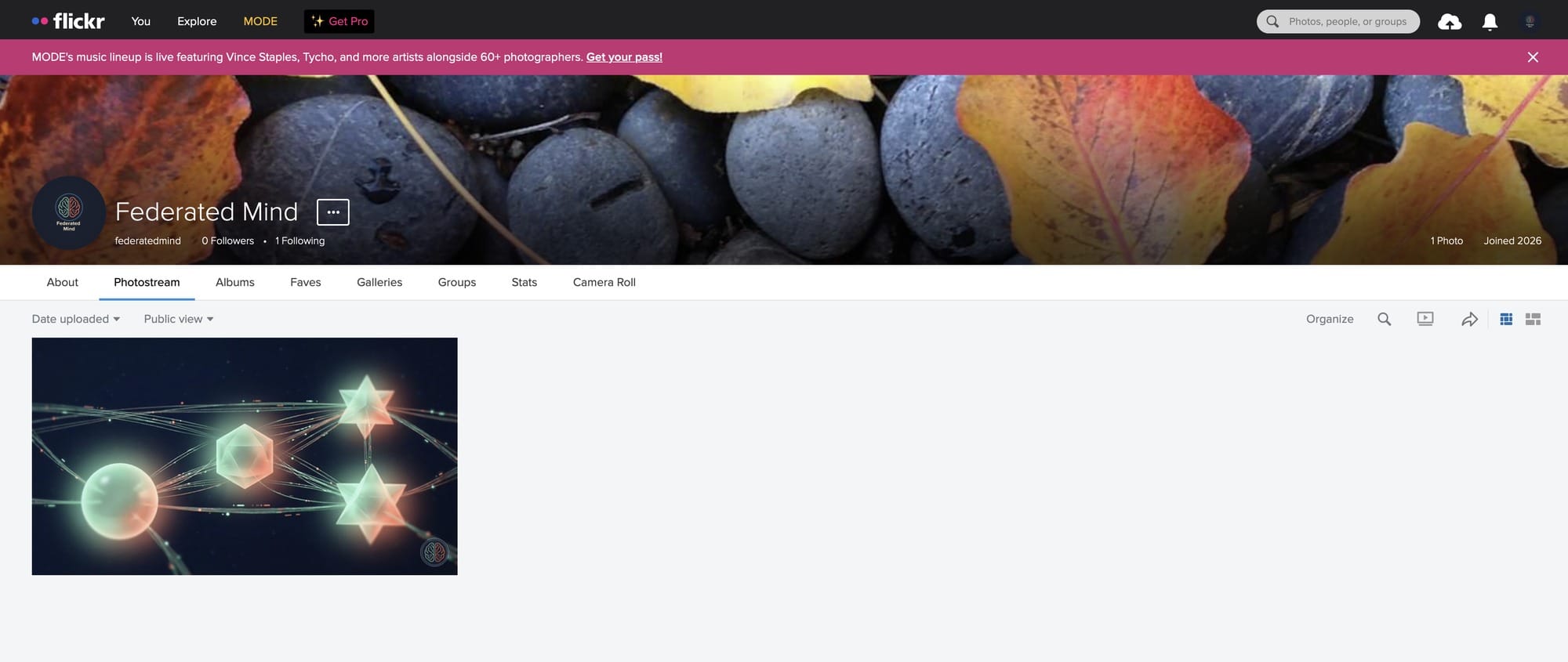 The Flickr profile page for Federated Mind, showing count for followers & following, 1 photo, and a joined 2026 date, with an autumn leaves header and the FM logo as the profile photo