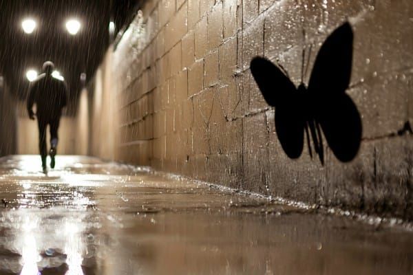 Who's Afraid of the Big Bad Bluesky?