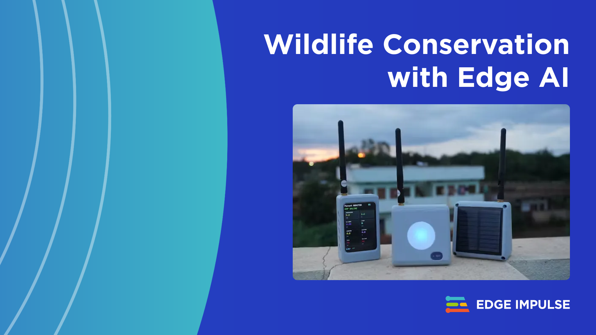 How LoRa and AI Are Protecting Our Forests