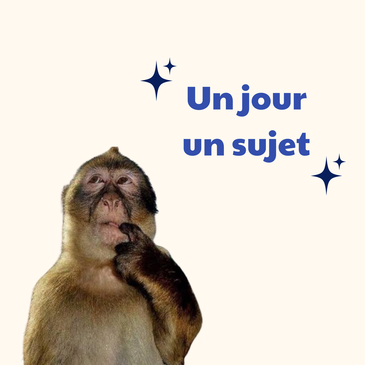 Bonjour, xin chào !