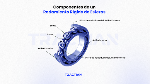 Componentes de un rodamiento