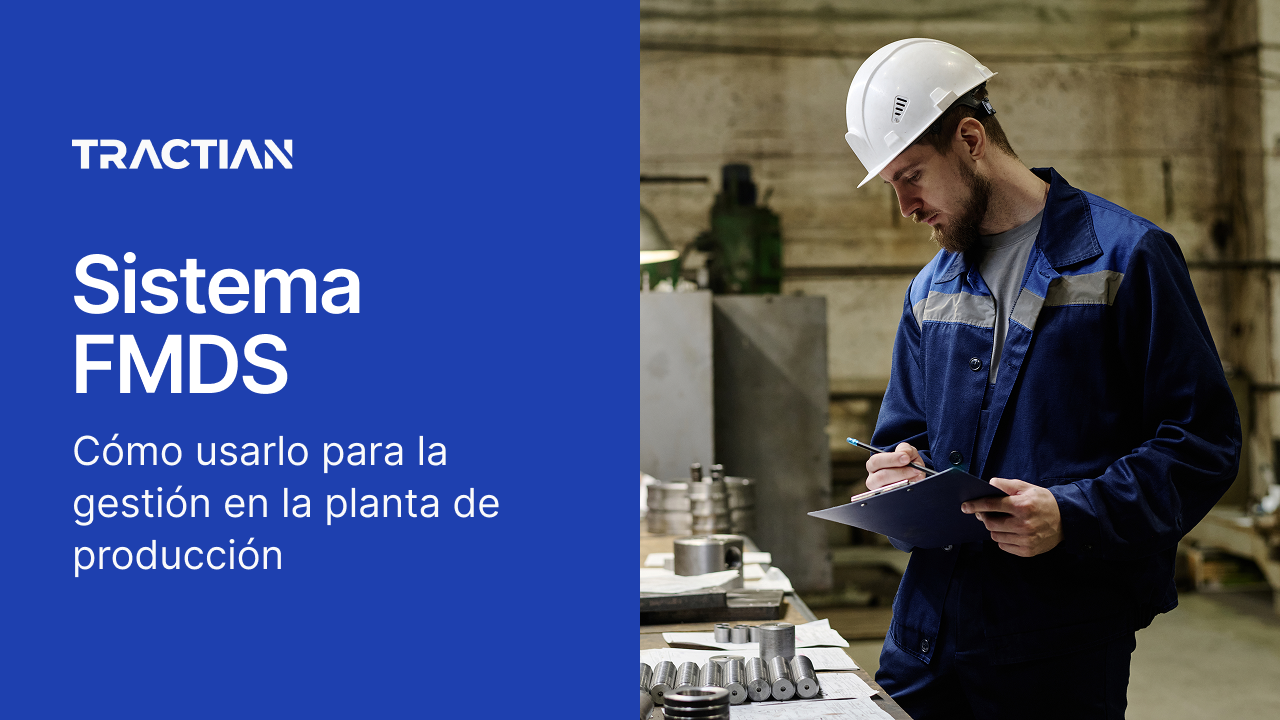 Sistema FMDS: Gestión de la Producción