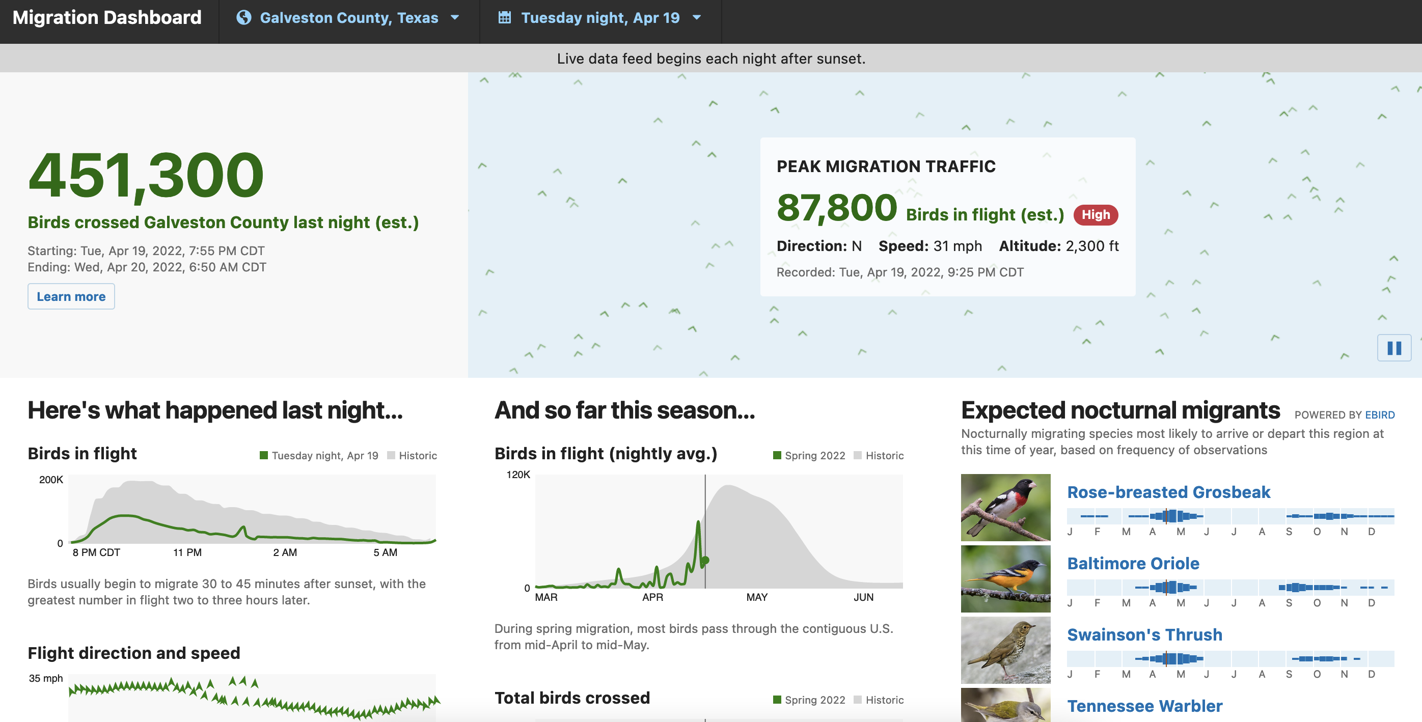 Dashboard showing bird migration from Team Birdcast