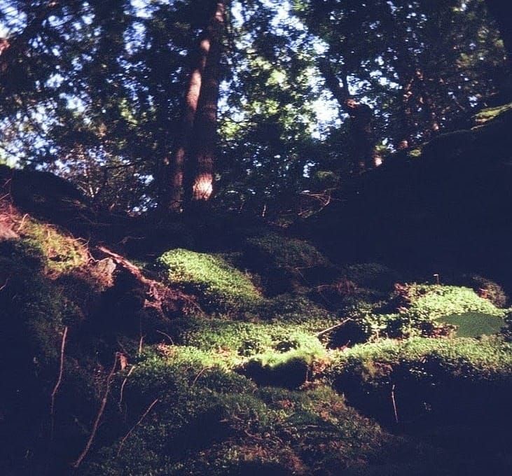 Collecting sounds